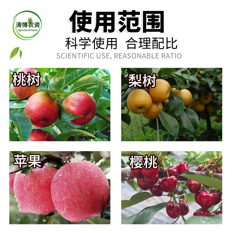 桃树专用药流胶病果树李子流胶一喷净流胶穿孔病溃疡腐烂病专