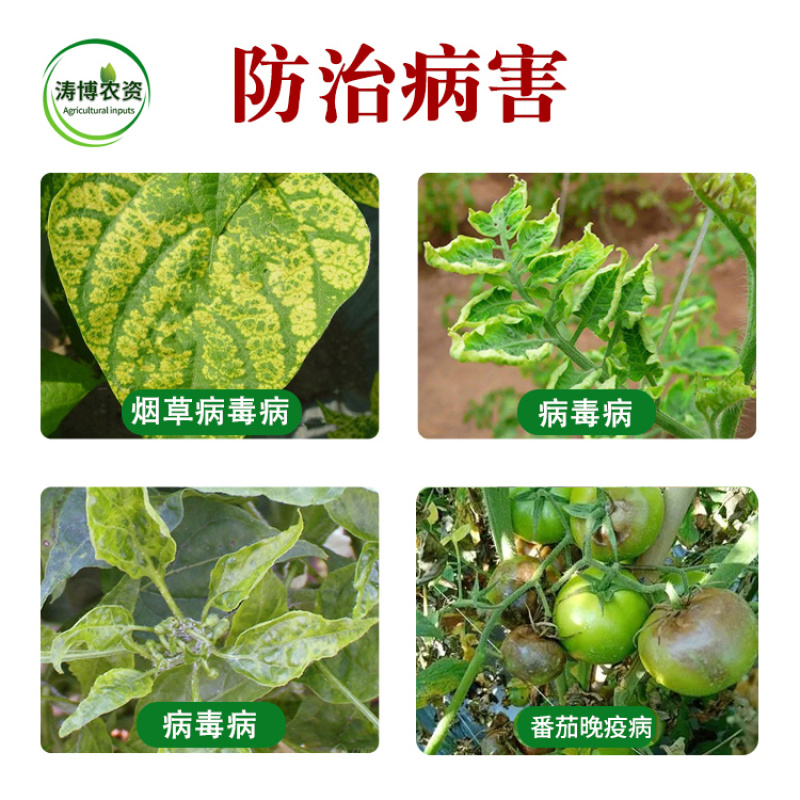 氨基寡糖素抗病增产提高免疫能力生根抑制线虫抗病毒正品农药