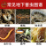 联苯菊酯噻虫胺韭蛆地老虎土蚕黄条跳甲果蔬地下害虫农药杀虫