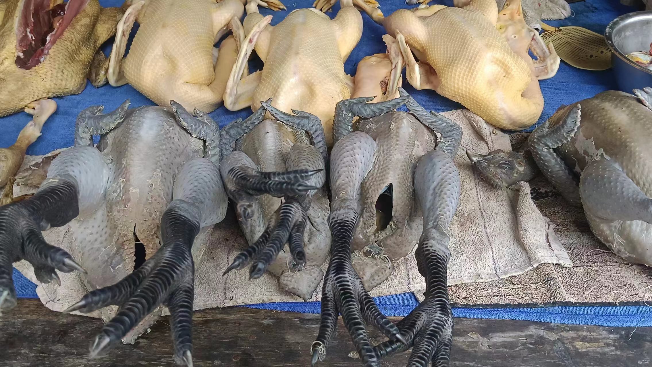 炖鸡前的食材摆盘图