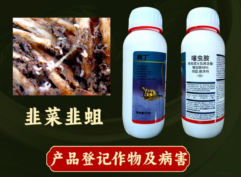 48%噻虫胺韭蛆地蛆地下害虫刺吸害虫杀虫剂