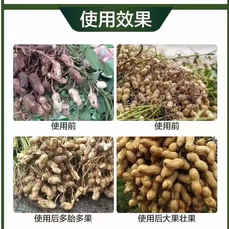 佳乐夫白胖墩花生增大粒粒饱花生分杈下针剂促开花提高坐果率