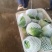 云南红河高原精品甘蓝货量大全国发货来电咨询