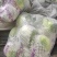 云南红河高原精品甘蓝货量大全国发货来电咨询