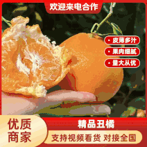 【精选】云南丑橘不知火柑桔产地直发-价格优惠-品质保障