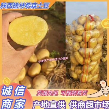 推荐土豆陕西榆林希森土豆大量供货商超市场黄心