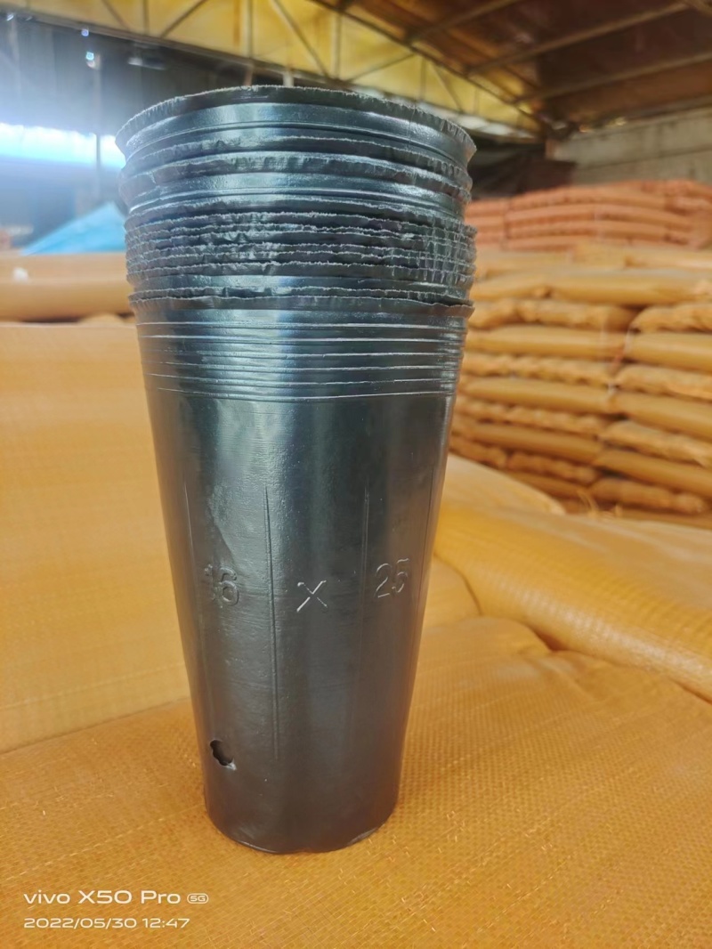 【推荐】营养钵育苗杯厂家直发价优品质保障可视频看货
