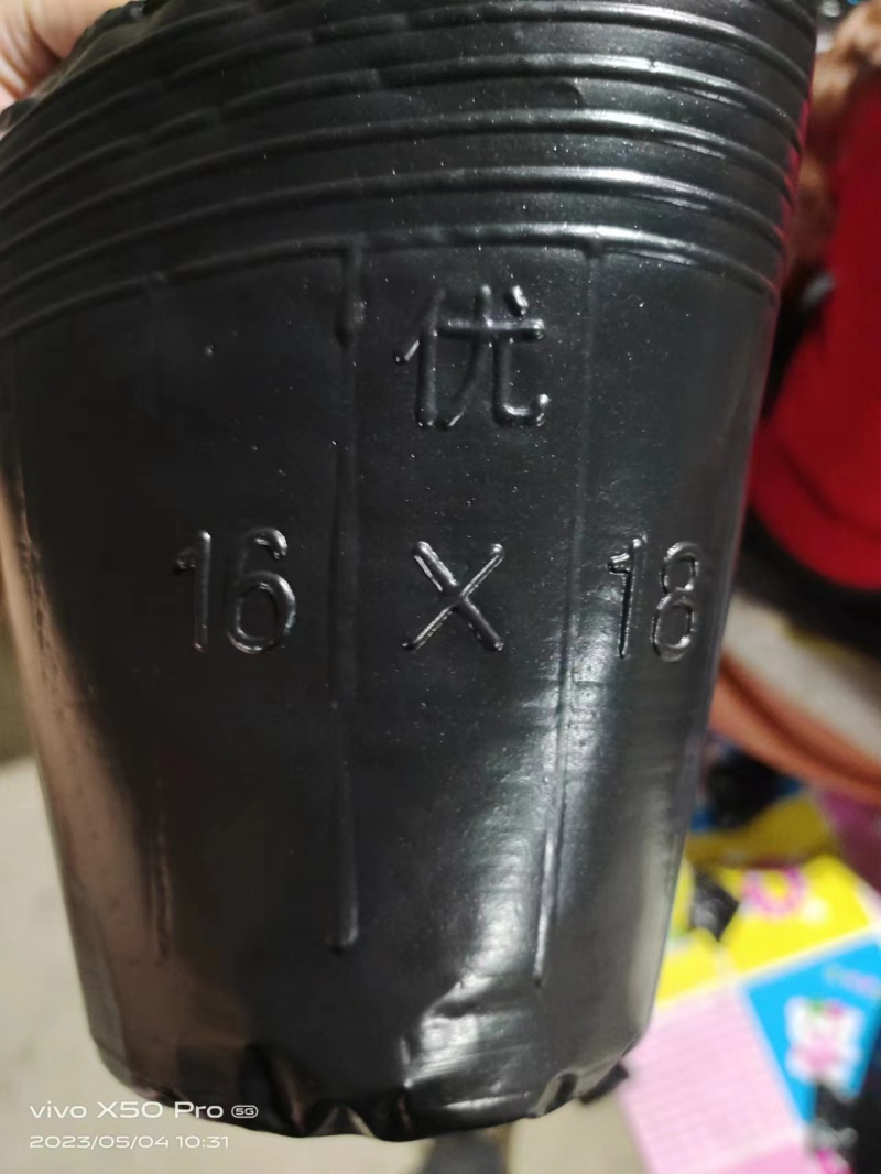 【推荐】营养钵育苗杯厂家直发价优品质保障可视频看货