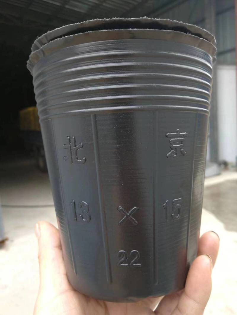 【推荐】优质营养钵规格齐全厂家直发品质保障可视频看货