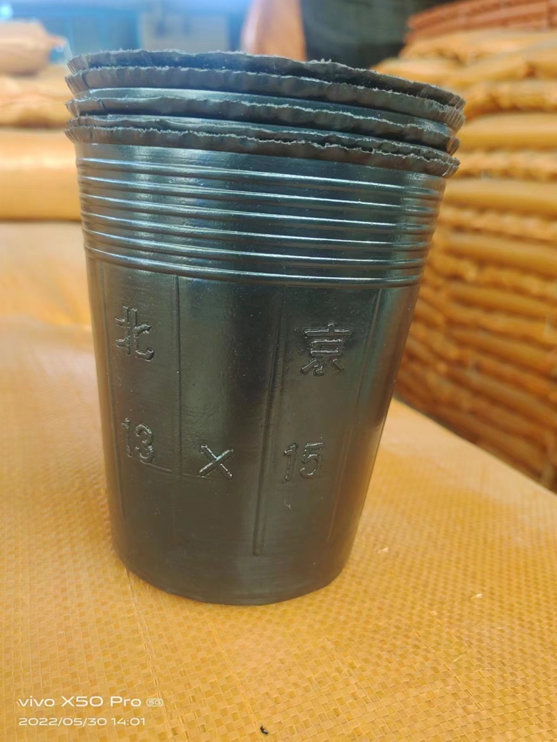 【推荐】优质营养钵规格齐全厂家直发品质保障可视频看货