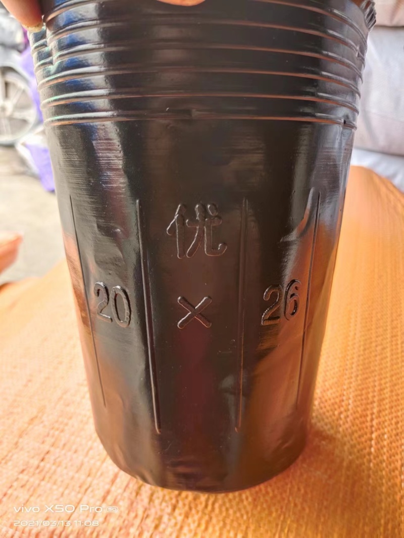 【推荐】优质营养钵规格齐全厂家直发品质保障可视频看货