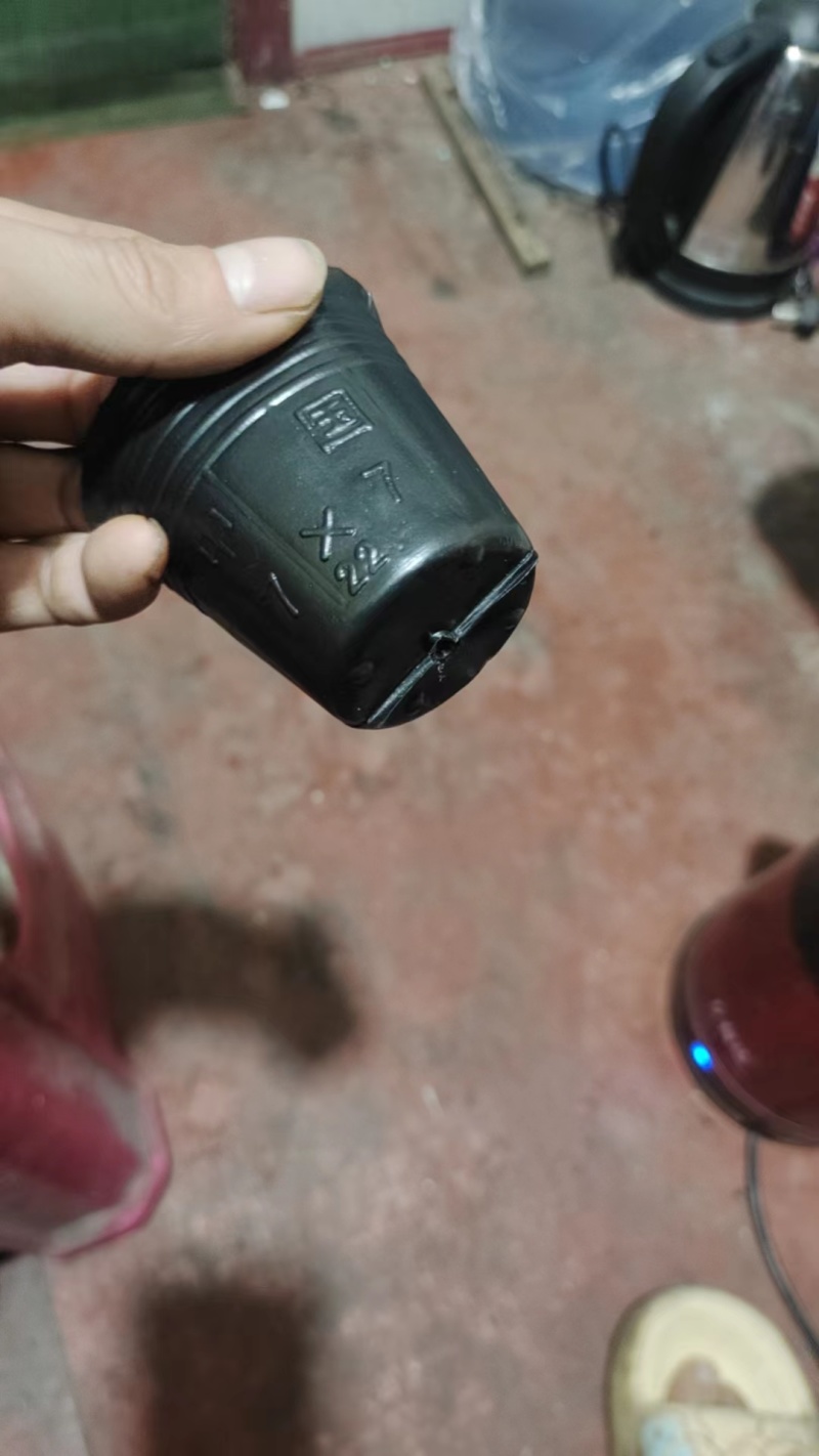 【推荐】优质营养钵规格齐全厂家直发品质保障可视频看货