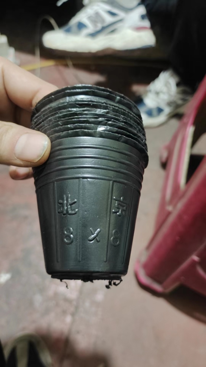 【推荐】优质营养钵规格齐全厂家直发品质保障可视频看货