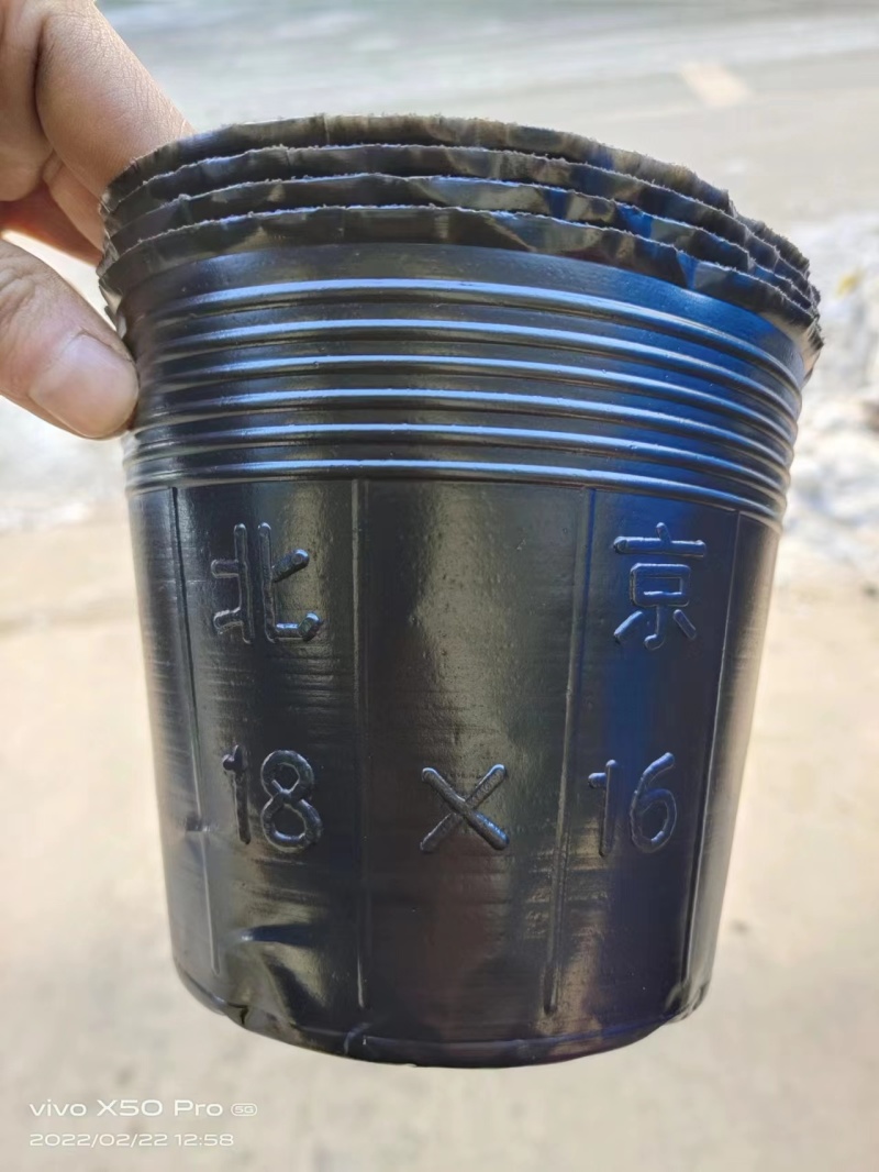 【厂家直发】推荐河北直发专用营养钵规格齐全价格优惠