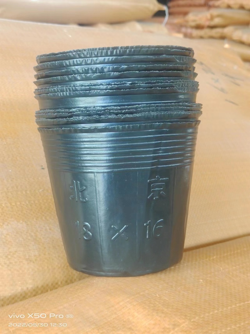 【厂家直发】推荐河北直发专用营养钵规格齐全价格优惠