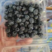 蓝莓，量大质优价优一手货源欢迎江浙沪周边打扰