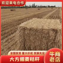 小麦秸秆大方捆麦秸产地直发量大优惠欢迎来电咨询