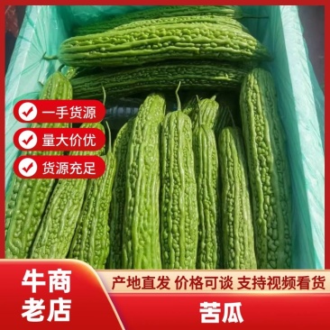 【必买】苦瓜大量有货协助装车老板进店有优惠价格实惠