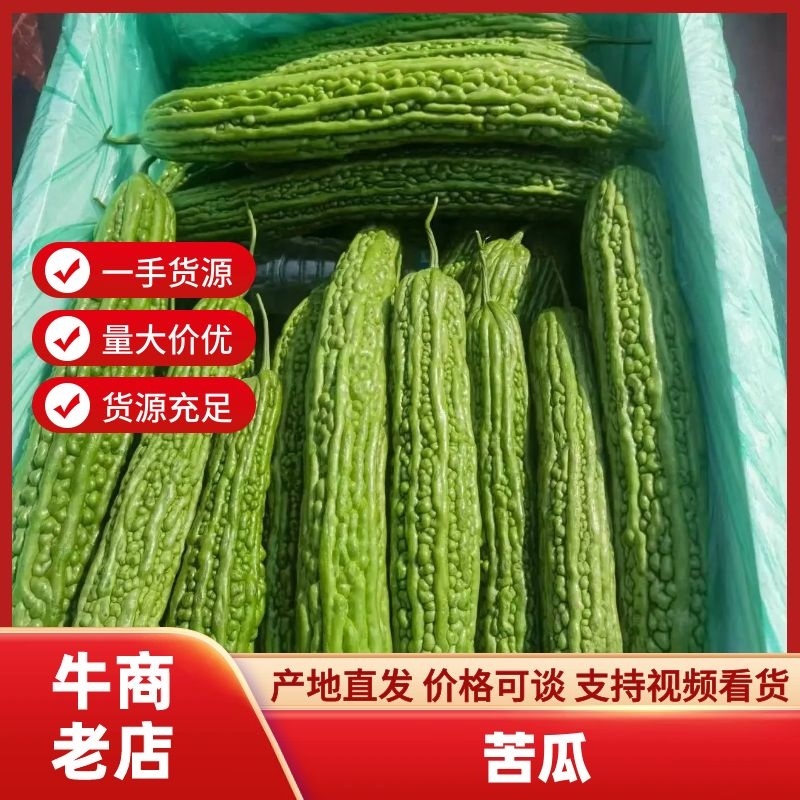 【必买】苦瓜大量有货协助装车老板进店有优惠价格实惠