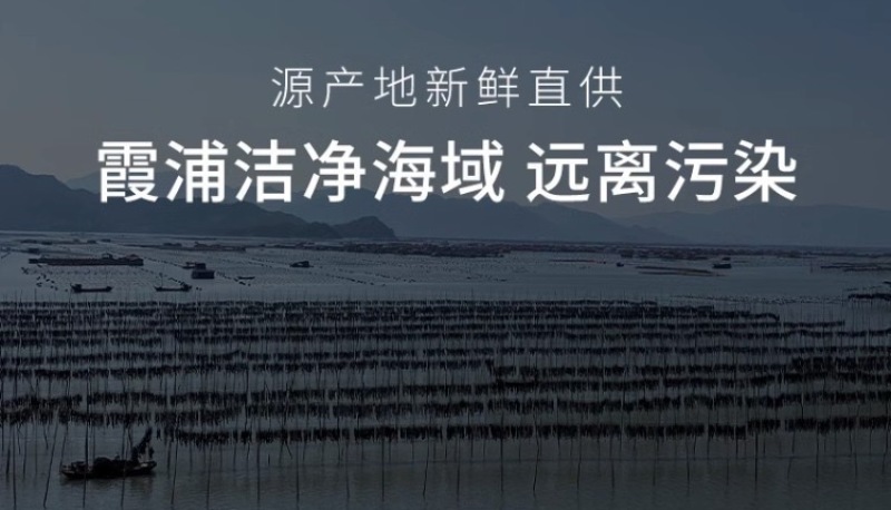 源头工厂烘干海带结批发干净免洗海带结