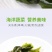 源头工厂烘干海带结批发干净免洗海带结