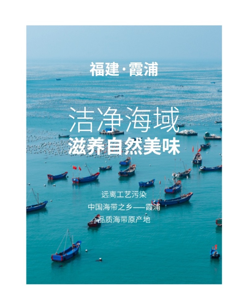 源头工厂霞浦烘干海带丝纯淡干海带丝干净免洗泡发15倍