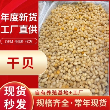 工厂直供淡干干贝250-800头规格干贝批发