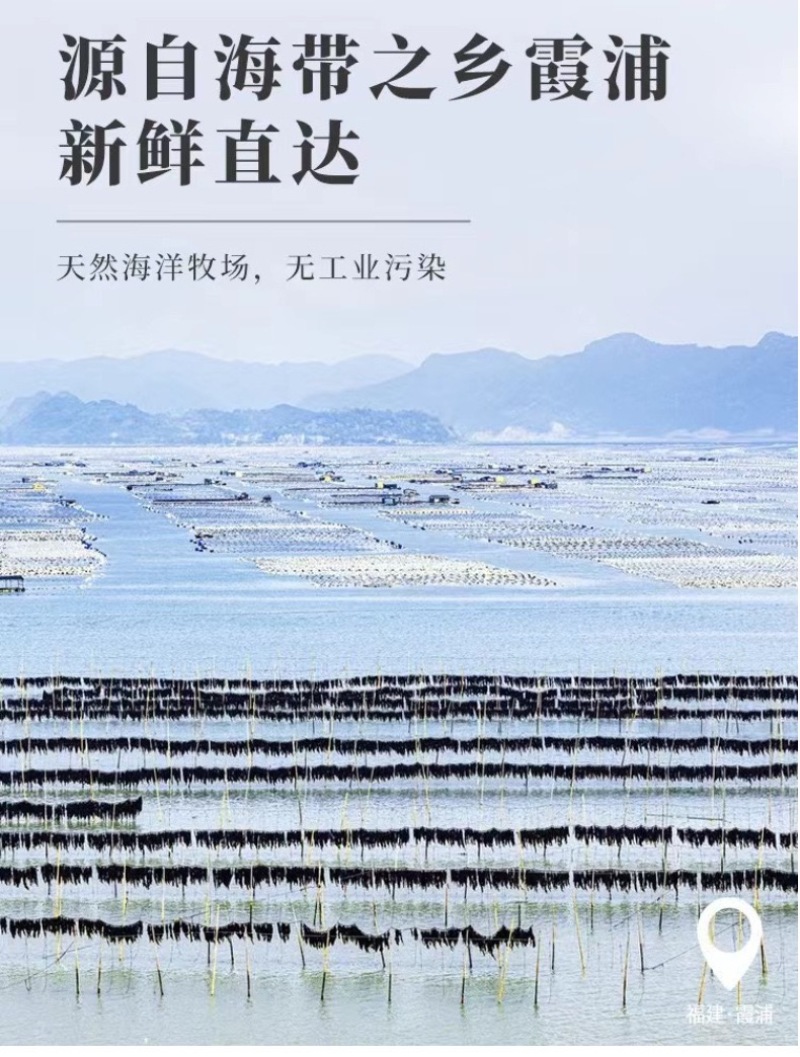 霞浦海带头特级厚500克厚海带头片海带批发