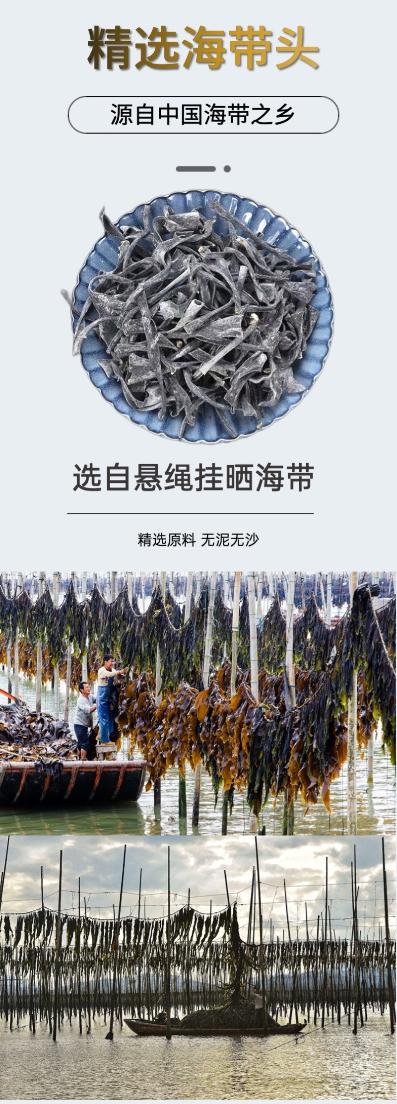 工厂直供福建霞浦海带头特厚批发海带头厚片海带批发