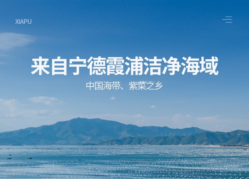 霞浦头水紫菜批发紫菜100g包装