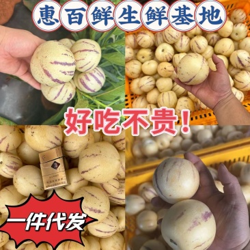 云南石林人参果全平台一件包邮云南石林刚上市