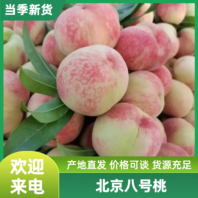 北京八号桃大红桃山东桃产地直发对接全国各地市场