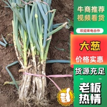 平度铁杆大葱，粗度2至3公分，长度40公分左右