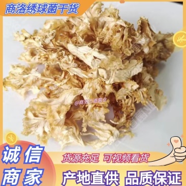 今年新货绣球菌干货（大碎）产地直供品质保证