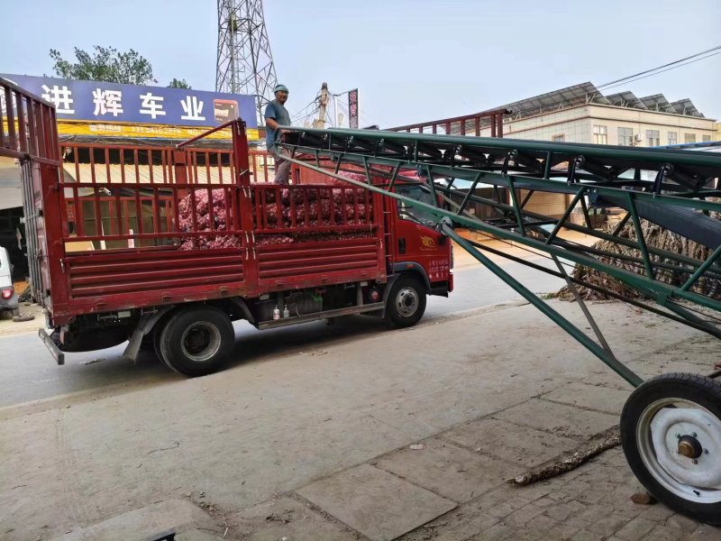 山东辫子蒜紫皮蒜一手货源产地直发可供商超市场批发