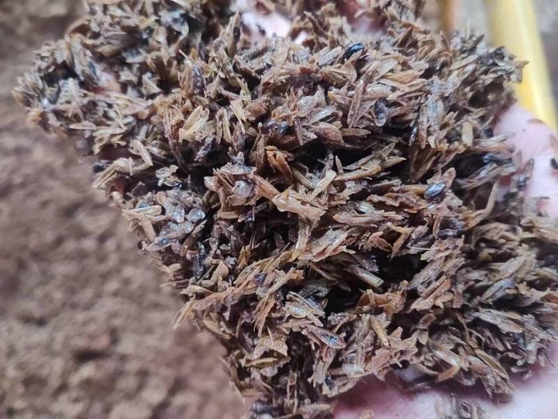 养殖专用酒糟粉精品酒糟厂家直发一手货源