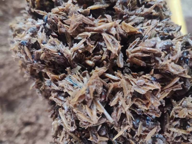 养殖专用酒糟粉精品酒糟厂家直发一手货源