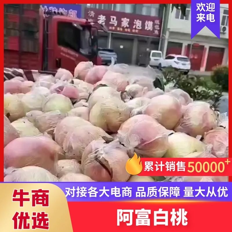 膜袋阿富白桃陕西桃子一手货源保质保量对接全国