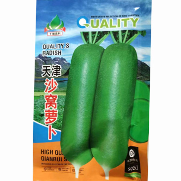 天津沙窝萝卜种子可生吃中熟肉翠绿色秋冬蔬菜种植
