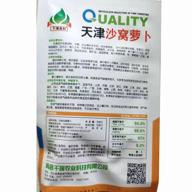 天津沙窝萝卜种子可生吃中熟肉翠绿色秋冬蔬菜种植