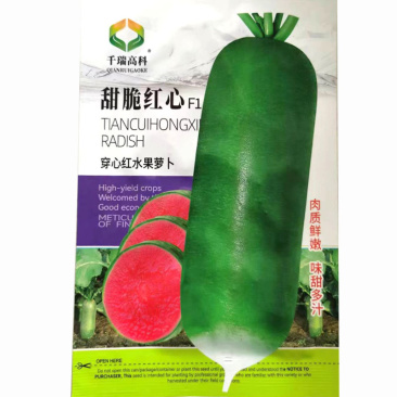 红心青萝卜种子籽生吃脆甜青啤红瓢红心萝卜种子春夏秋播