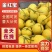 民勤蜜瓜，哈蜜瓜，金色年华，黄金蜜，一手货源保质保量