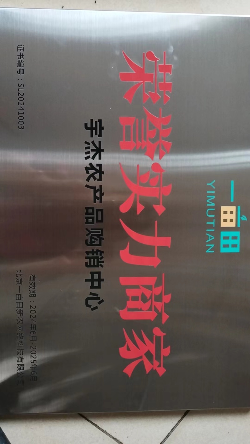 一代精品高端葱苗，铁杆，刚葱，香葱，给客户代育各种葱苗