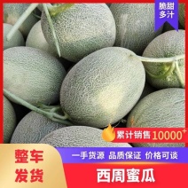 【热卖】西州蜜瓜山东哈密瓜大量供应电商，市场，商超！