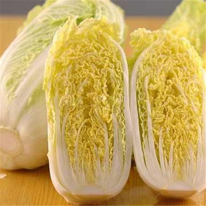 高山娃娃菜种子奶油味小型黄心娃娃菜种子10克