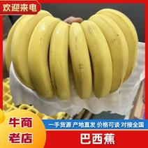 上海香蕉/巴西蕉大量供应，一手货源，批发新鲜发货，欢迎咨询