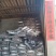 干海带腾鑫海带产地加工（无沙海带）海带片干货全国发货