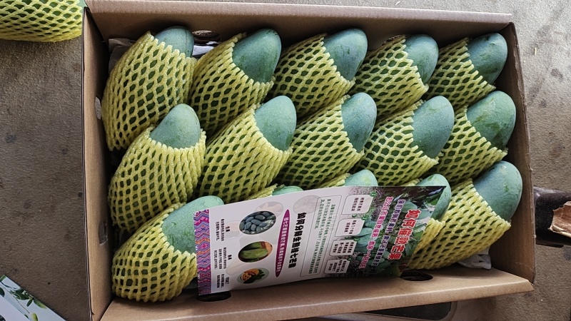 桂七芒广西桂七芒一件代发整箱包邮品质保证