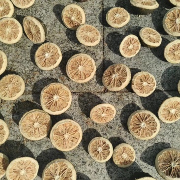 江西枳壳中草药优质产品，大量上市欢迎电话联系洽谈
