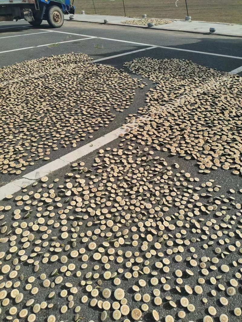 江西枳壳中草药优质产品，大量上市欢迎电话联系洽谈